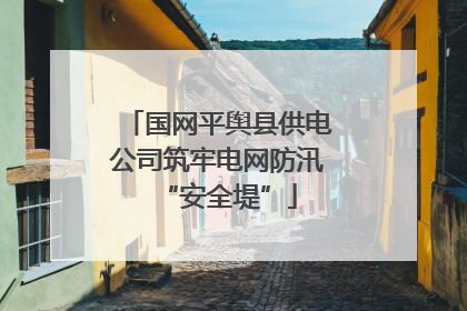国网平舆县供电公司筑牢电网防汛“安全堤”