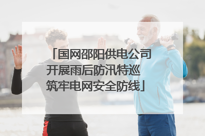 国网邵阳供电公司开展雨后防汛特巡 筑牢电网安全防线
