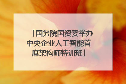 国务院国资委举办中央企业人工智能首席架构师特训班