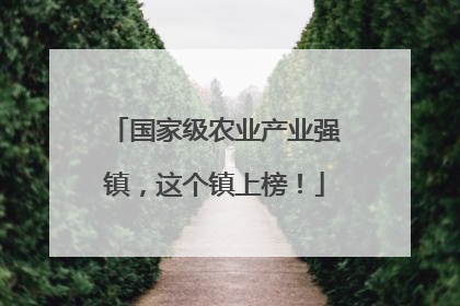 国家级农业产业强镇，这个镇上榜！