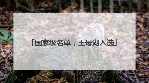 国家级名单，王母湖入选