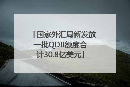 国家外汇局新发放一批QDII额度合计30.8亿美元