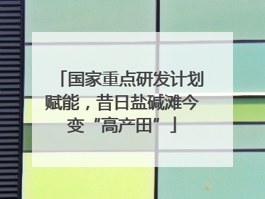 国家重点研发计划赋能，昔日盐碱滩今变“高产田”