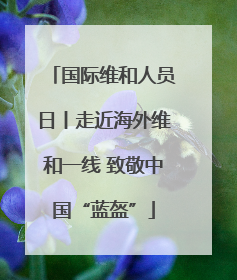国际维和人员日丨走近海外维和一线 致敬中国“蓝盔”