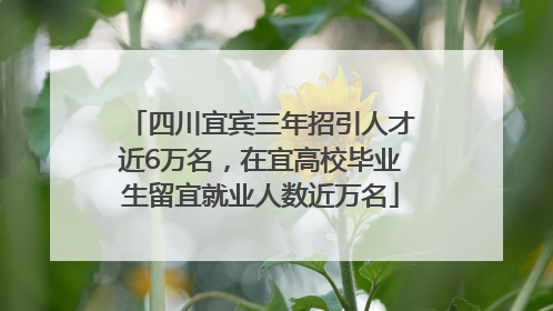 四川宜宾三年招引人才近6万名，在宜高校毕业生留宜就业人数近万名