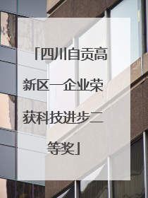 四川自贡高新区一企业荣获科技进步二等奖