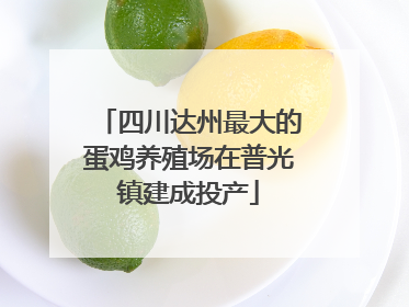 四川达州最大的蛋鸡养殖场在普光镇建成投产