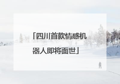 四川首款情感机器人即将面世