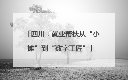 四川：就业帮扶从“小摊”到“数字工匠”