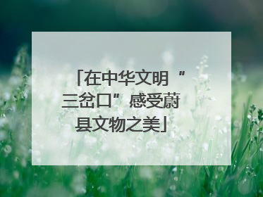 在中华文明“三岔口”感受蔚县文物之美
