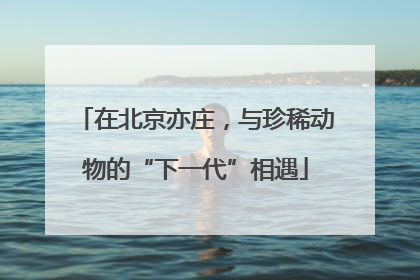 在北京亦庄，与珍稀动物的“下一代”相遇