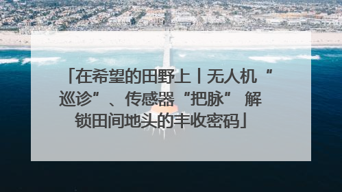 在希望的田野上丨无人机“巡诊”、传感器“把脉” 解锁田间地头的丰收密码