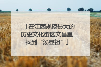 在江西规模最大的历史文化街区文昌里找到“汤显祖”