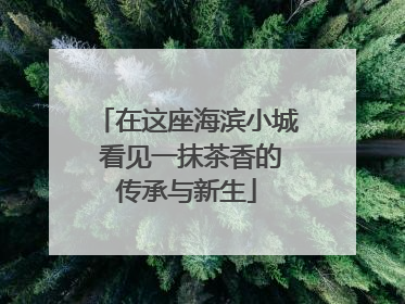 在这座海滨小城 看见一抹茶香的传承与新生