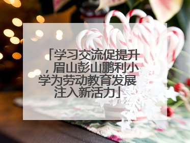 学习交流促提升，眉山彭山鹏利小学为劳动教育发展注入新活力
