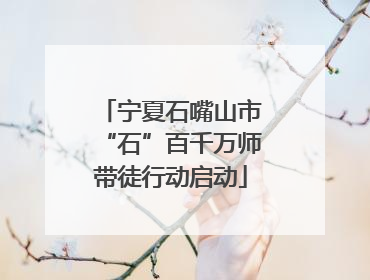 宁夏石嘴山市“石”百千万师带徒行动启动