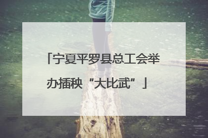 宁夏平罗县总工会举办插秧“大比武”