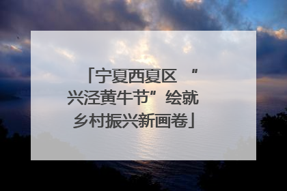 宁夏西夏区 “兴泾黄牛节”绘就乡村振兴新画卷