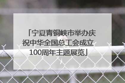 宁夏青铜峡市举办庆祝中华全国总工会成立100周年主题展览