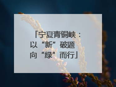 宁夏青铜峡：以“新”破题 向“绿”而行