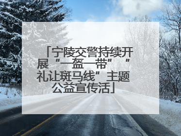 宁陵交警持续开展“一盔一带”“礼让斑马线”主题公益宣传活