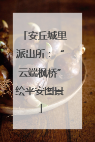 安丘城里派出所：“云端枫桥”绘平安图景