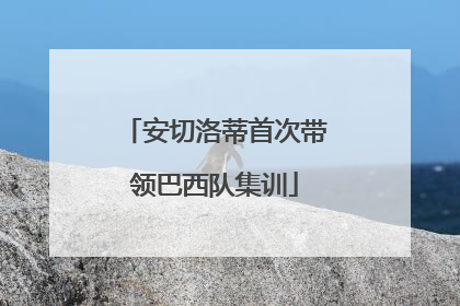 安切洛蒂首次带领巴西队集训