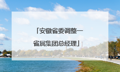 安徽省委调整一省属集团总经理