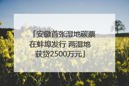 安徽首张湿地碳票在蚌埠发行 两湿地获贷2500万元