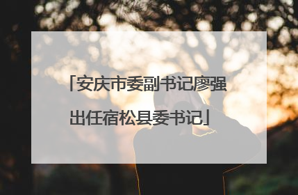 安庆市委副书记廖强出任宿松县委书记