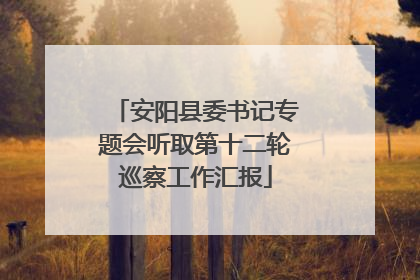 安阳县委书记专题会听取第十二轮巡察工作汇报