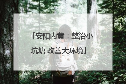 安阳内黄：整治小坑塘 改善大环境