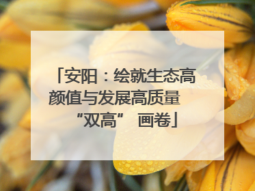 安阳：绘就生态高颜值与发展高质量 “双高” 画卷