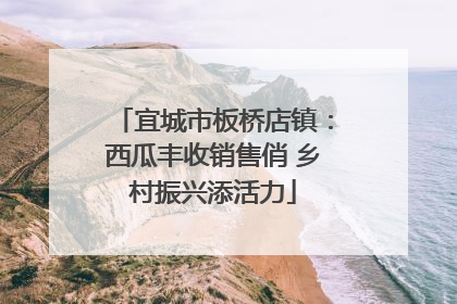 宜城市板桥店镇：西瓜丰收销售俏 乡村振兴添活力