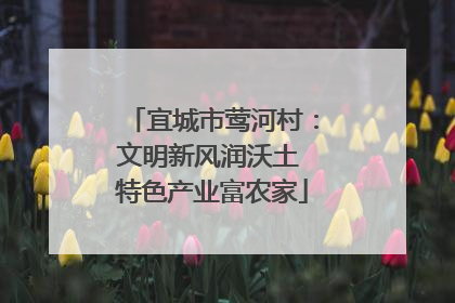 宜城市莺河村：文明新风润沃土 特色产业富农家