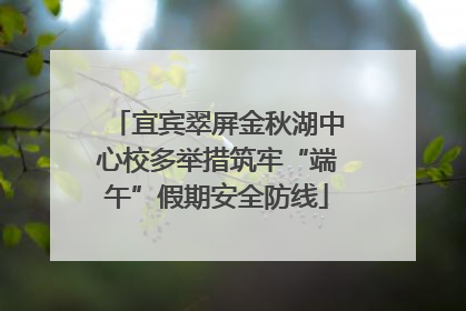 宜宾翠屏金秋湖中心校多举措筑牢“端午”假期安全防线