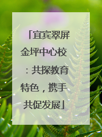 宜宾翠屏金坪中心校：共探教育特色，携手共促发展
