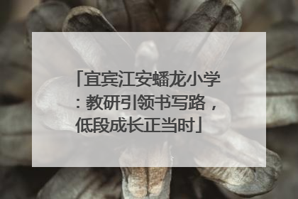 宜宾江安蟠龙小学：教研引领书写路，低段成长正当时