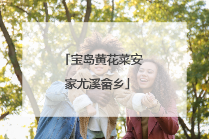 宝岛黄花菜安家尤溪畲乡