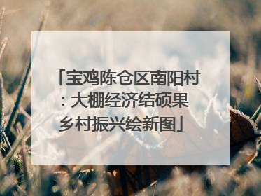 宝鸡陈仓区南阳村：大棚经济结硕果 乡村振兴绘新图