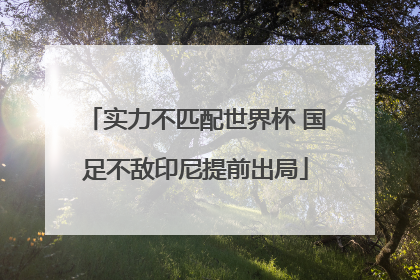 实力不匹配世界杯 国足不敌印尼提前出局