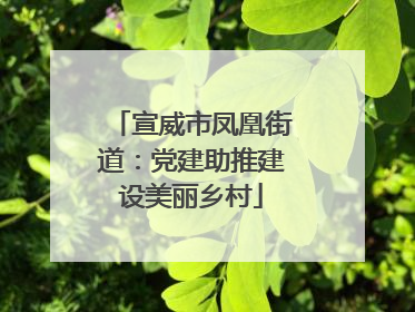 宣威市凤凰街道：党建助推建设美丽乡村