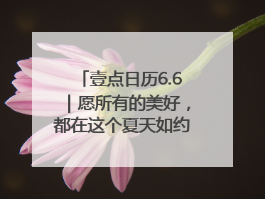 壹点日历6.6｜愿所有的美好，都在这个夏天如约而至！早安