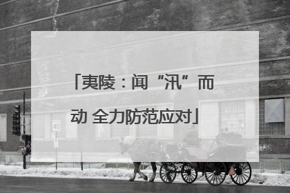 夷陵：闻“汛”而动 全力防范应对