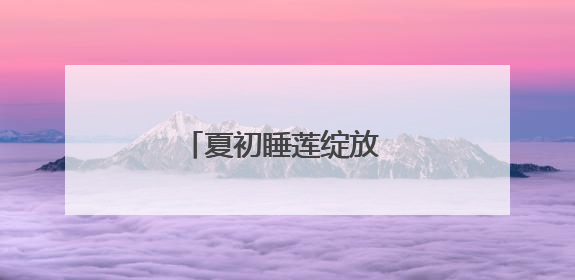 夏初睡莲绽放 一池清雅入画