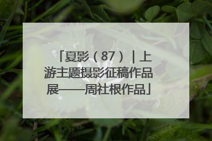 夏影（87）｜上游主题摄影征稿作品展——周社根作品