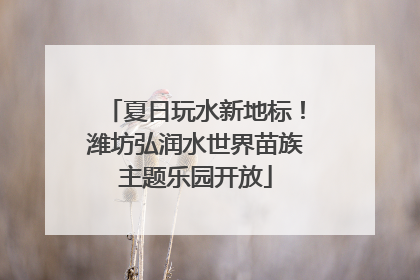 夏日玩水新地标！潍坊弘润水世界苗族主题乐园开放