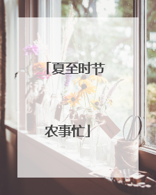 夏至时节农事忙