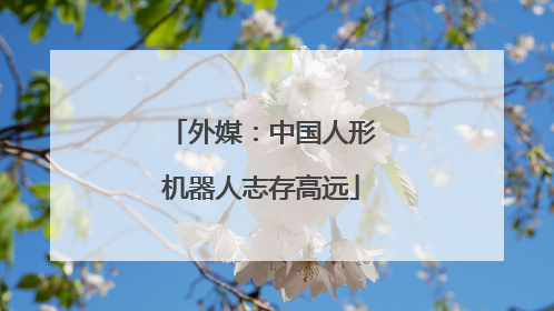 外媒：中国人形机器人志存高远