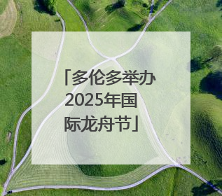 多伦多举办2025年国际龙舟节
